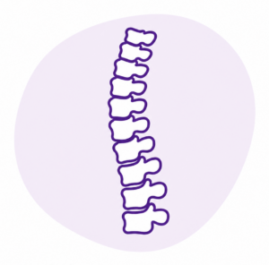 Chiropractic illustration